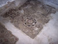 Augustali: pavimento a mosaico
