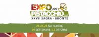 EXPO DEL PISTACCHIO D.O.P. DI BRONTE 2016